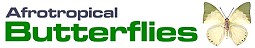 Afrotropical Butterflies